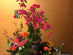-莲花山公园