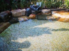 -厦门日月谷温泉渡假村