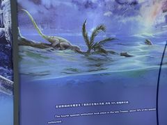 -房山世界地质公园博物馆