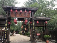 -合肥滨湖国家森林公园