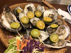 -茉莉.Red Crab