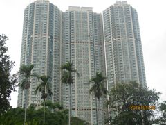 -九龙公园