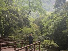 -赤水丹霞旅游区·佛光岩