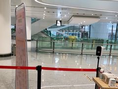 -麦当劳(北京大兴机场二层国内到达(安检外)店)