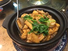 紅燒豆腐煲-海王老记
