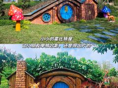 -森波拉奇妙世界