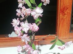 -飞虹鱼馆(春华路店)