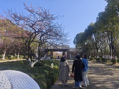 -上海海湾国家森林公园