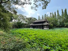 -桂湖森林公园