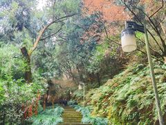 -梦姑塘文化公园