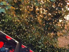 -鹅滋道(甘坑古镇店)