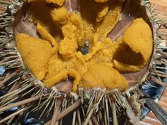 -桂马·日本料理·海胆·海鲜饭·酒场(民主广场店)