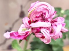 -共青国家森林公园-售票处