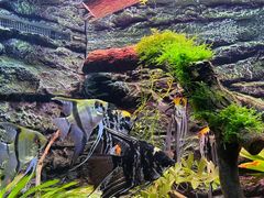 -上海海洋水族馆