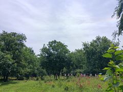 -秦始皇帝陵博物院-丽山园