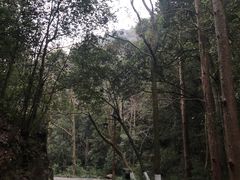 -龙井壹号·茶缘山景宴(龙井村店)