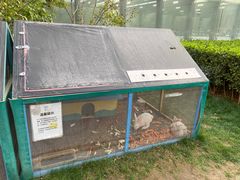 -廊坊固安福朋喜来登酒店
