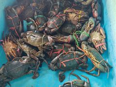 -旗鱼海番村(Orang Asli)