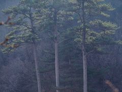 -玉渡山自然风景区