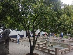 -上海醉白池公园