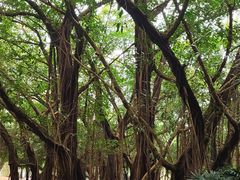 -北海市海滨公园