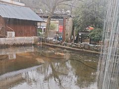 -天怡·鱼工厂(梅溪湖店)