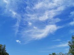 -艾溪湖湿地公园