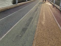 -贡湖湾湿地公园