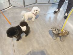 -南京时尚莱迪购物广场(正洪街店)