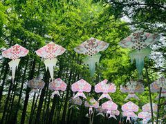 -日照海滨国家森林公园