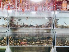 -大东门农贸市场(东顺城街)