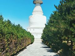 -凉州白塔寺景区