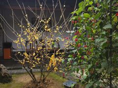-不倒翁·徽天下名菜楼(马鞍山路店)
