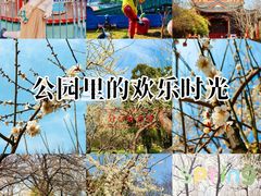 -堤角公园