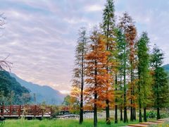 -广州市石门国家森林公园