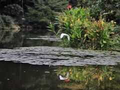 -杭州植物园