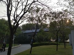 -宝安西湾红树林湿地公园