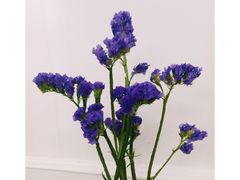 -红房子西菜馆(淮海中路店)
