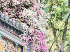 -深圳国际园林花卉博览园