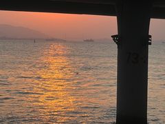 -演武大桥观景平台