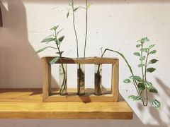 -柴务处·柴犬主题狗咖