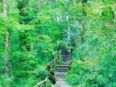 -龙苍沟森林公园