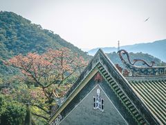 -鼎湖山风景区