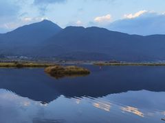 -腾冲北海湿地