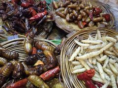-昆虫窝子·特色云南菜(拓东路总店)