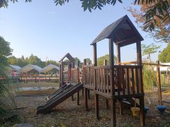 -田园东方蜜桃村的田野营地