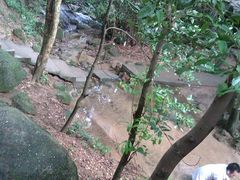-火炉山森林公园