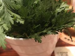-龙聚德北京烤鸭(沙坪坝华宇A馆店)