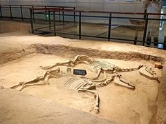 -洛阳周王城天子驾六博物馆