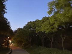 -大望京公园